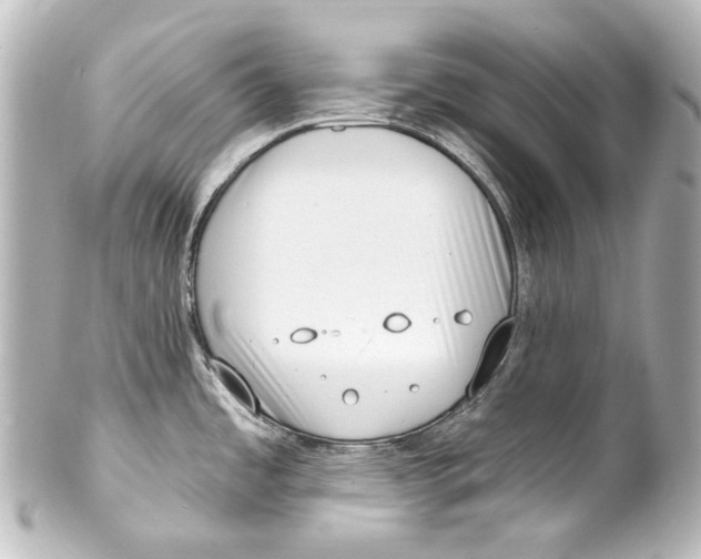 X0000100201485200806271630