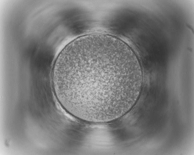 X0000100201486200806271630