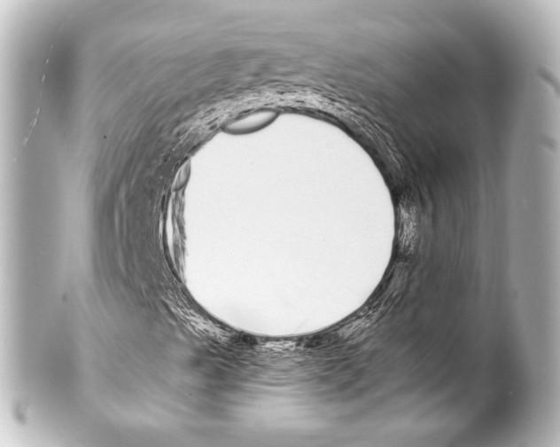 X0000100201489200806271630