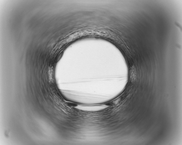 X0000100201490200806271630