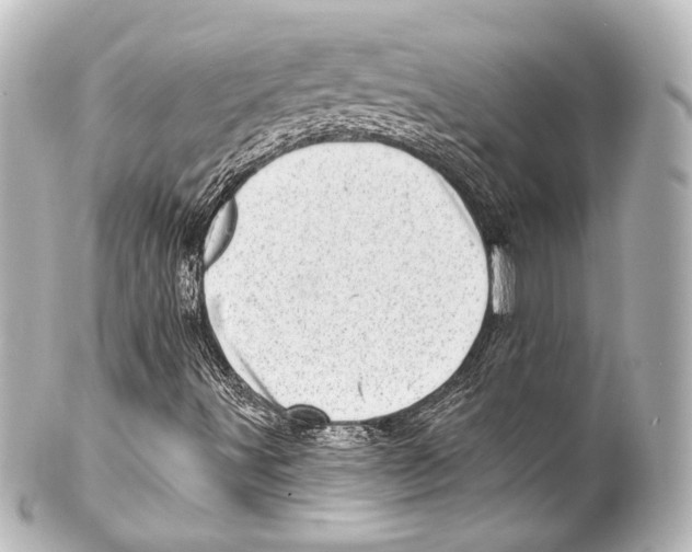 X0000100201491200806271630