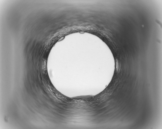 X0000100201492200806271630