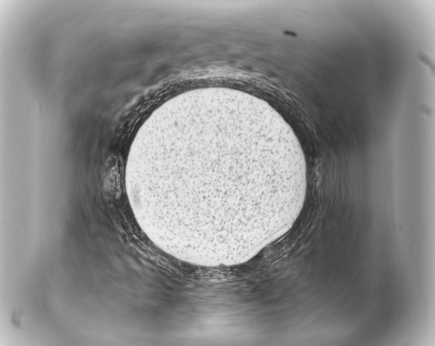 X0000100201493200806271630