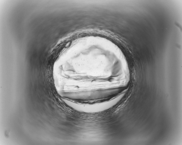 X0000100201494200806271630