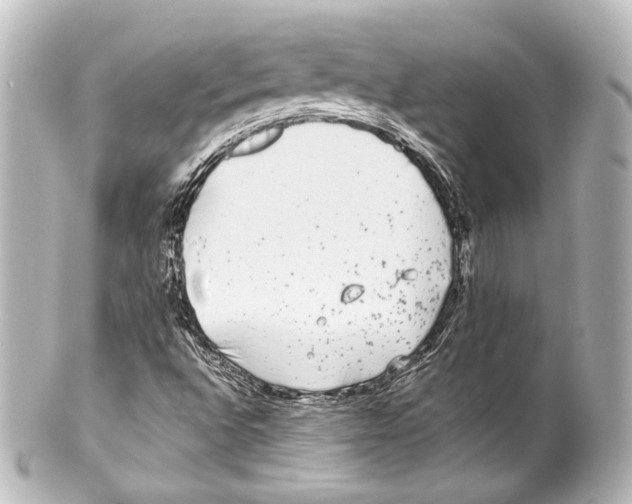 X0000100201496200806271630