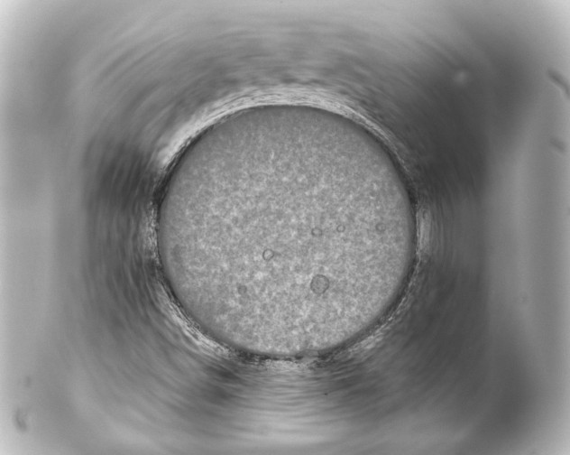 X0000100201498200806271630