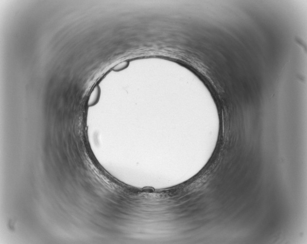 X0000100201500200806271630