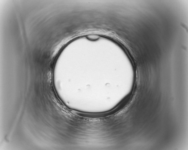 X0000100201501200806271630