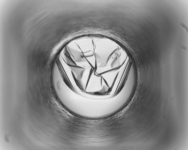 X0000100201502200806271630