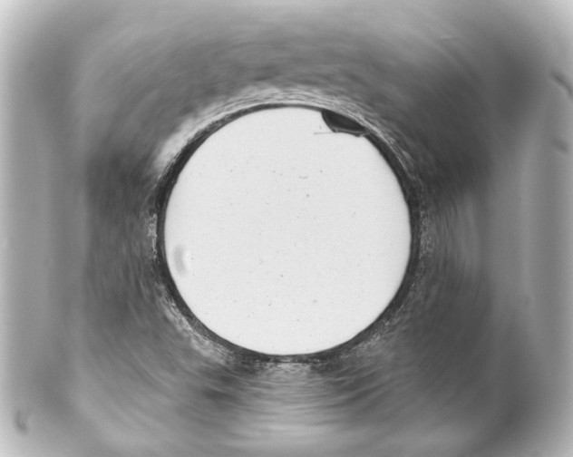 X0000100201503200806271630