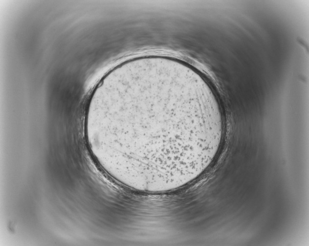 X0000100201504200806271630