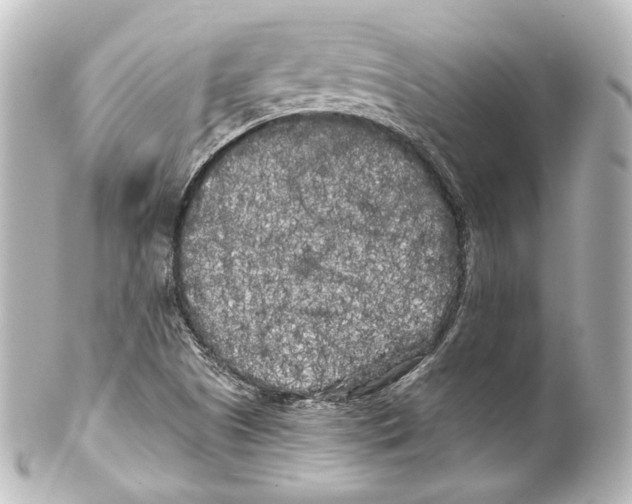 X0000100201505200806271630