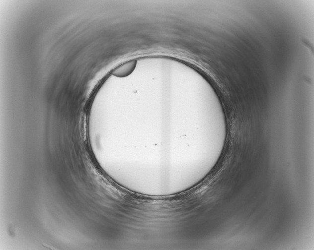 X0000100201510200806271630