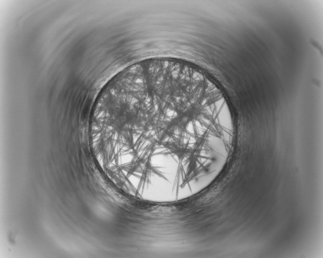 X0000100201513200806271630