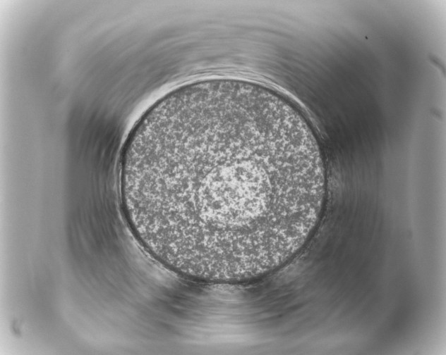 X0000100201514200806271630