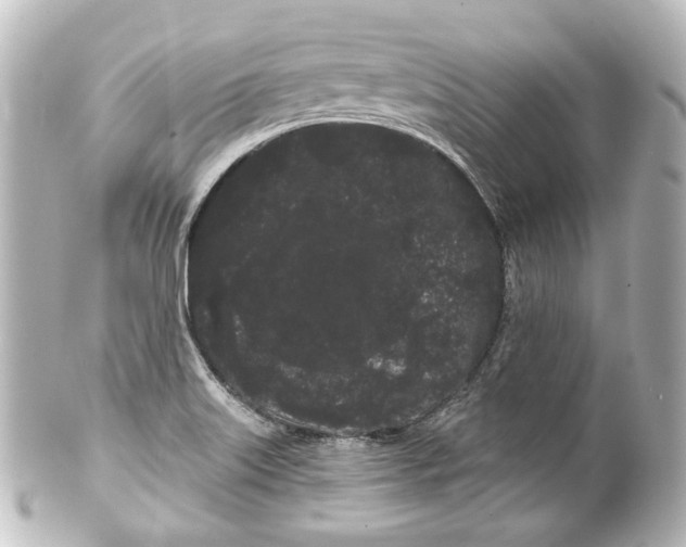 X0000100201515200806271630