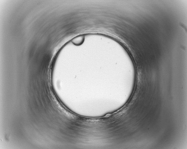 X0000100201517200806271630