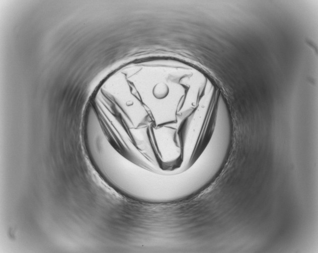 X0000100201518200806271630