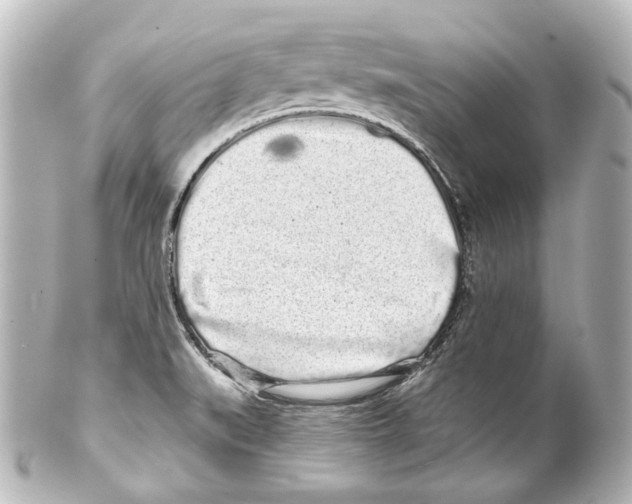 X0000100201519200806271630