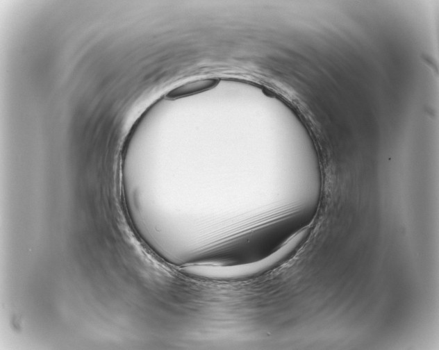 X0000100201520200806271630