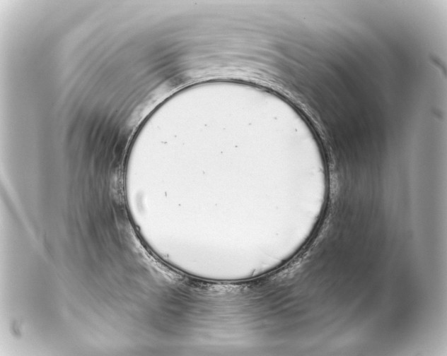 X0000100201521200806271630