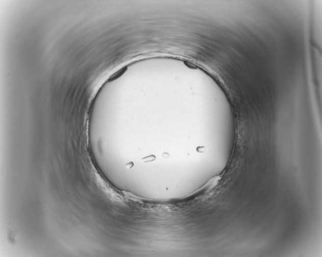 X0000100201524200806271630