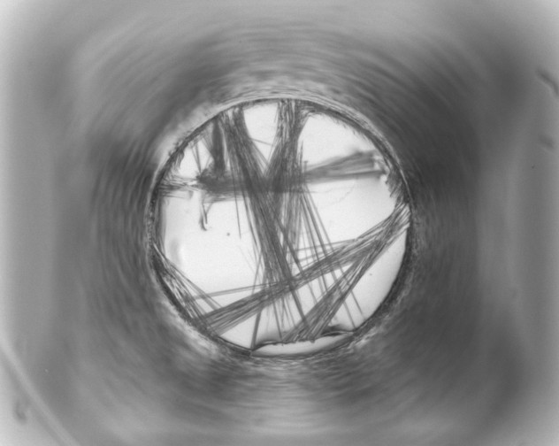 X0000100201525200806271630