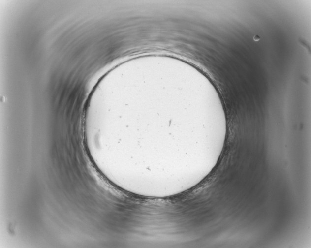 X0000100201526200806271630