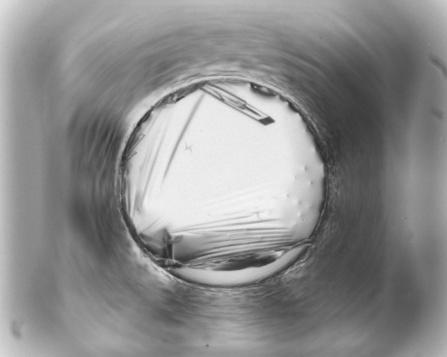 X0000100201527200806271630