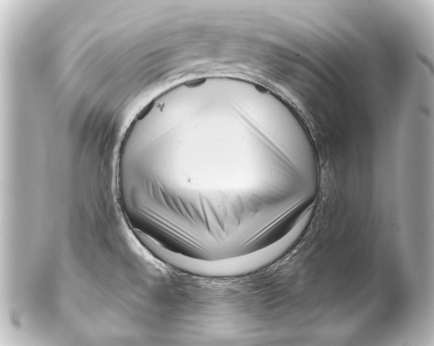 X0000100201528200806271630