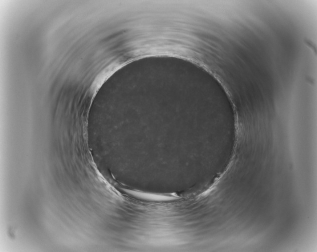 X0000100201529200806271630