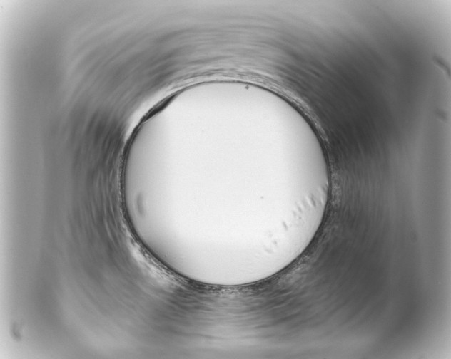 X0000100201530200806271630