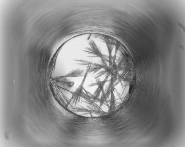 X0000100201531200806271630