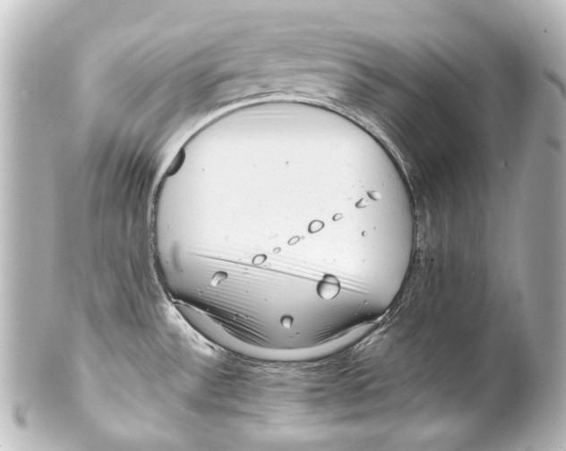 X0000100201532200806271630