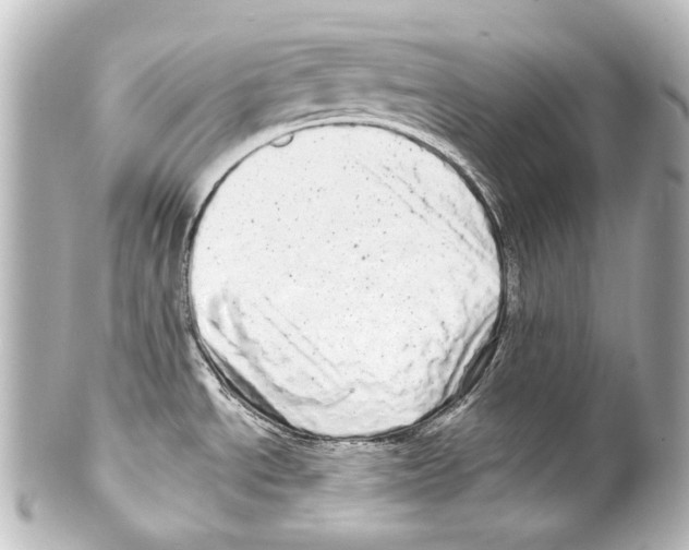 X0000100201534200806271630