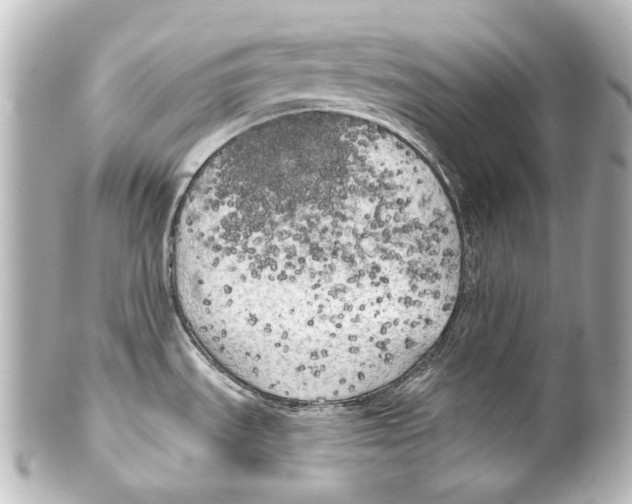 X0000100201535200806271630