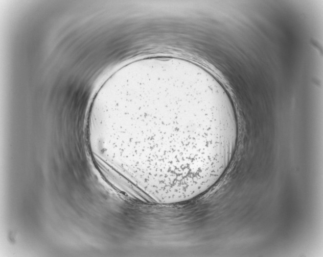 X0000100201536200806271630