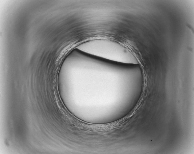 X0000100210001200805300736