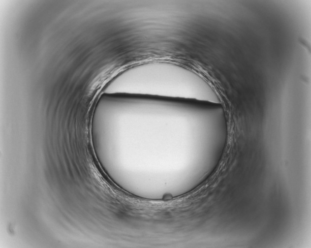 X0000100210002200805300736