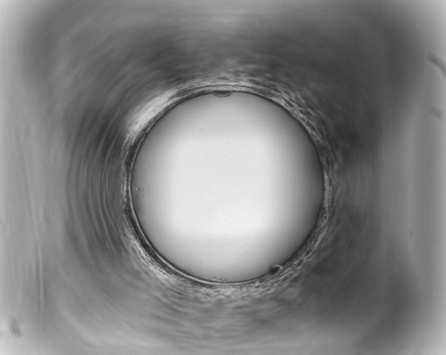 X0000100210005200805300736