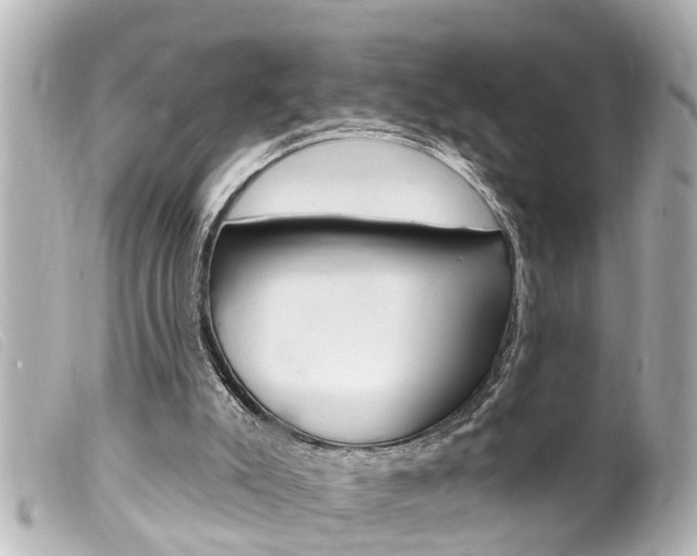 X0000100210007200805300736