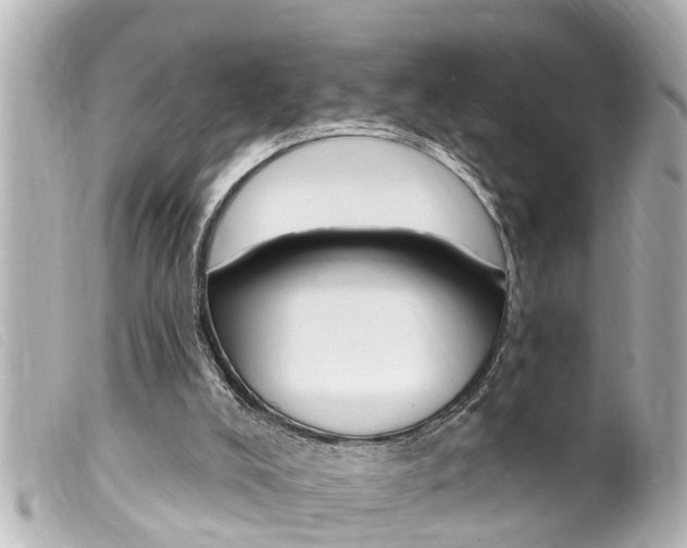 X0000100210008200805300736