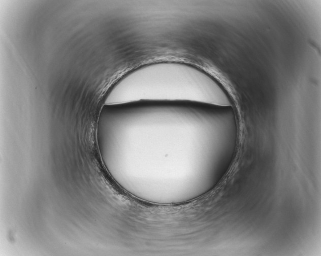 X0000100210009200805300736
