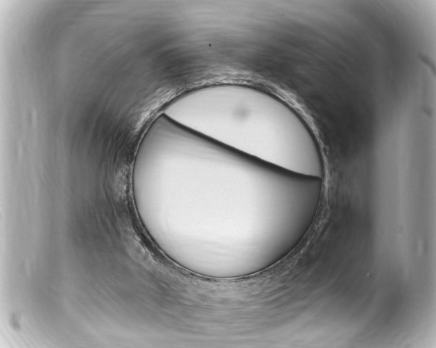 X0000100210010200805300736