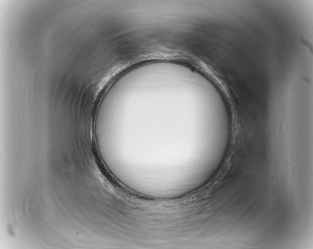 X0000100210011200805300736