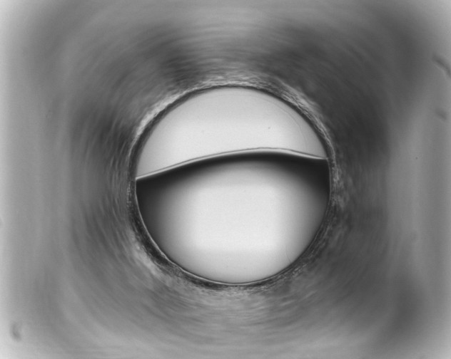X0000100210012200805300736