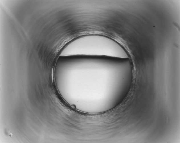 X0000100210013200805300736