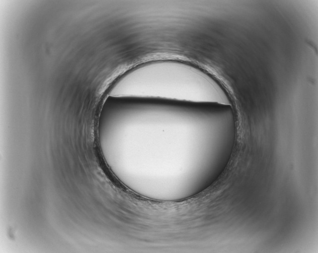 X0000100210015200805300736