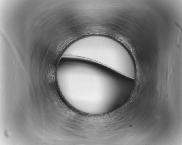 X0000100210017200805300736