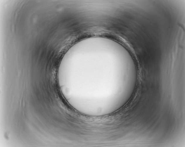 X0000100210018200805300736